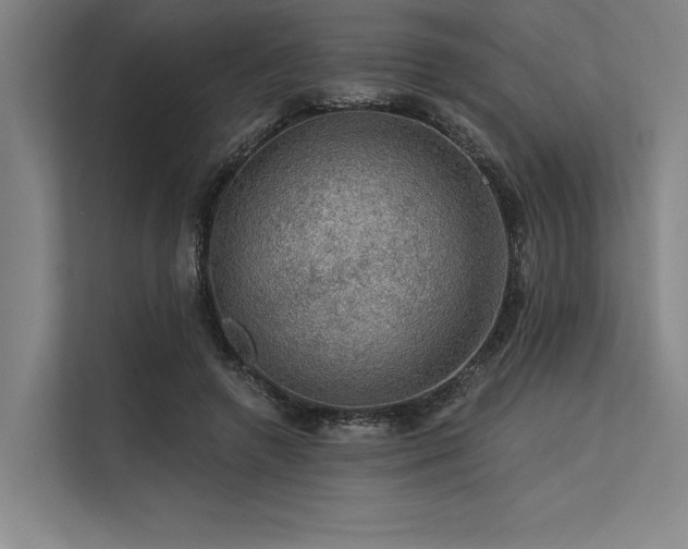 X0000113570546200909181249