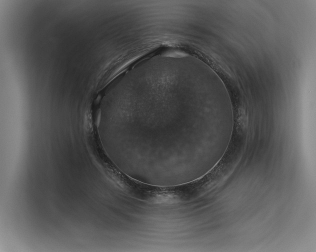 X0000113570547200909181249