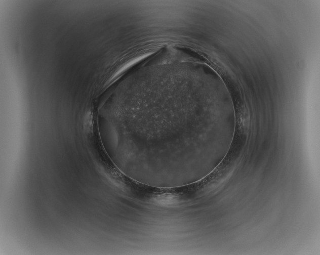 X0000113570551200909181249