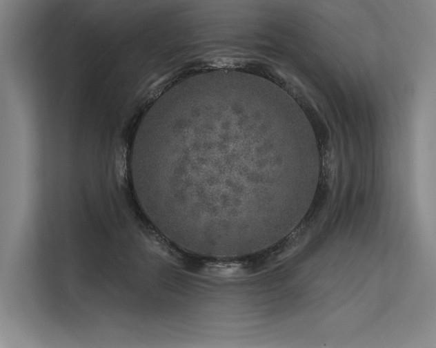X0000113570554200909181249
