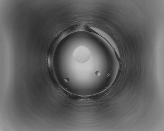 X0000113570556200909181249
