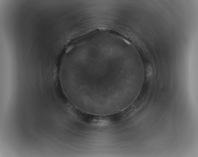 X0000113570559200909181249