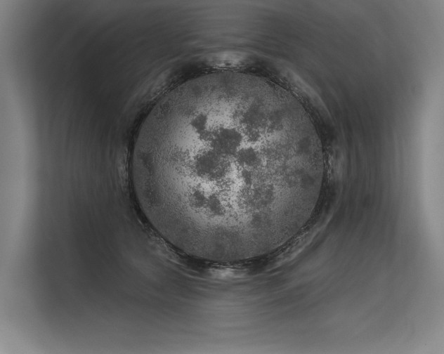 X0000113570561200909181249