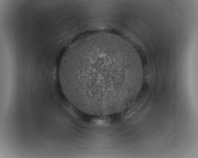 X0000113570563200909181249