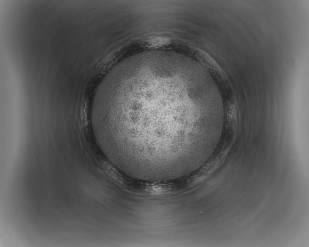 X0000113570565200909181249