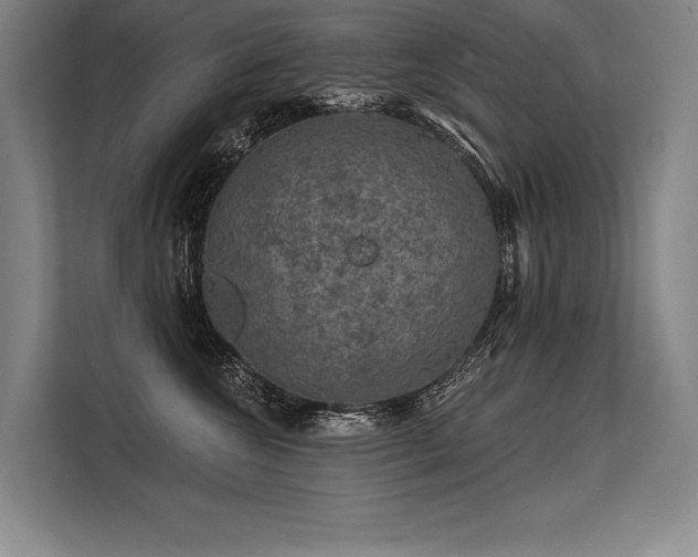 X0000113570572200909181249