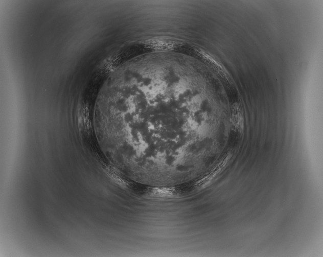 X0000113570573200909181249