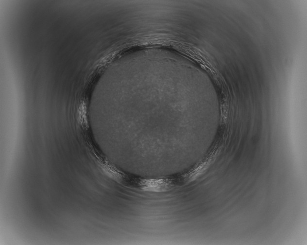 X0000113570575200909181249