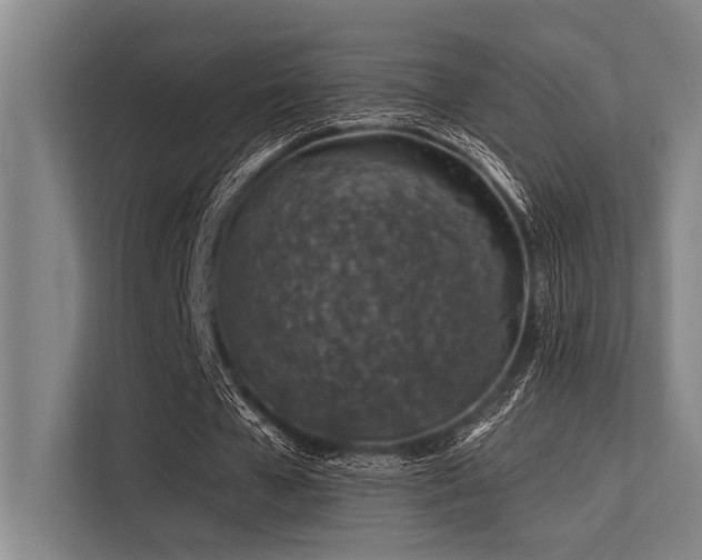 X0000113570577200909181249