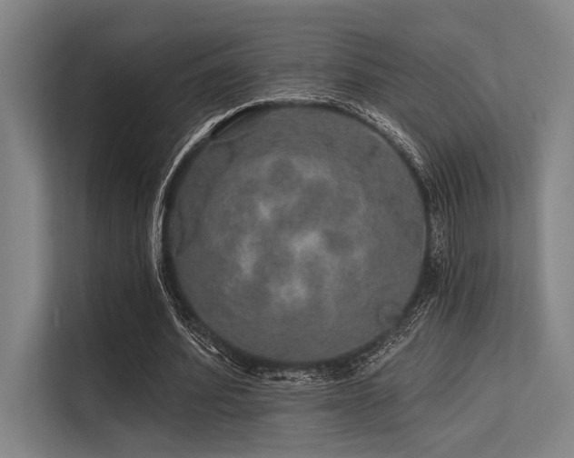 X0000113570580200909181249