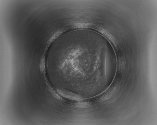 X0000113570581200909181249