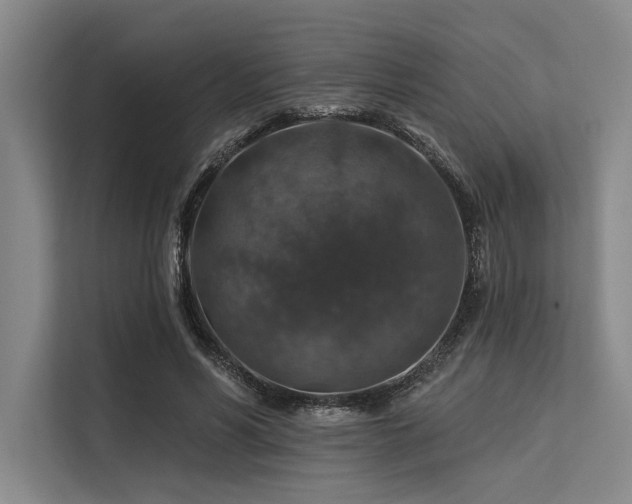 X0000113570590200909181249