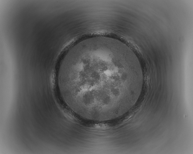 X0000113570591200909181249