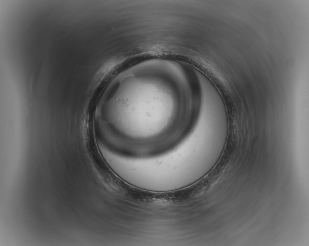 X0000113570592200909181249
