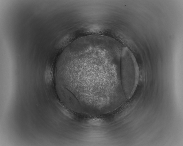 X0000113570593200909181249