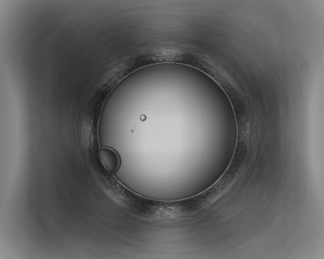 X0000113570599200909181249
