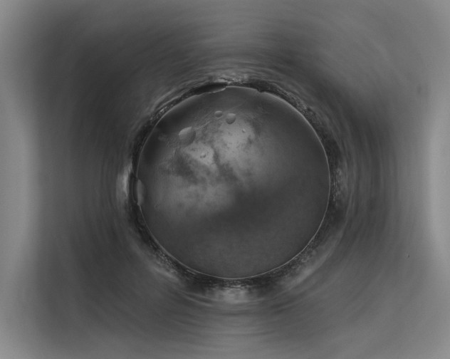 X0000113570600200909181249