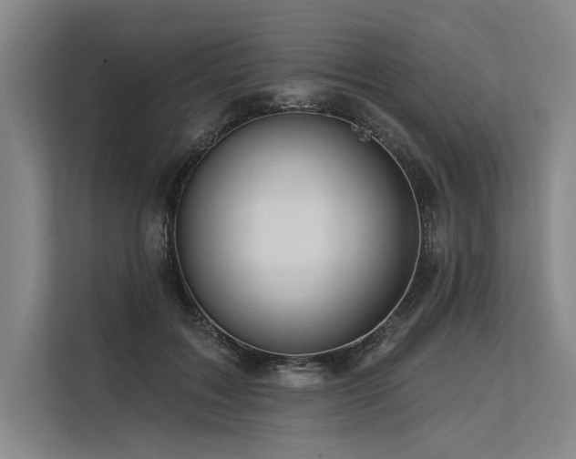 X0000113570603200909181248