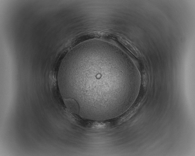 X0000113570613200909181248