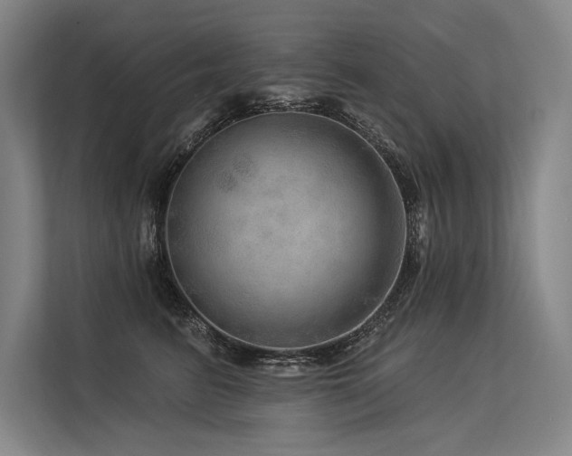 X0000113570615200909181248