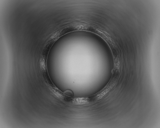 X0000113570622200909181248