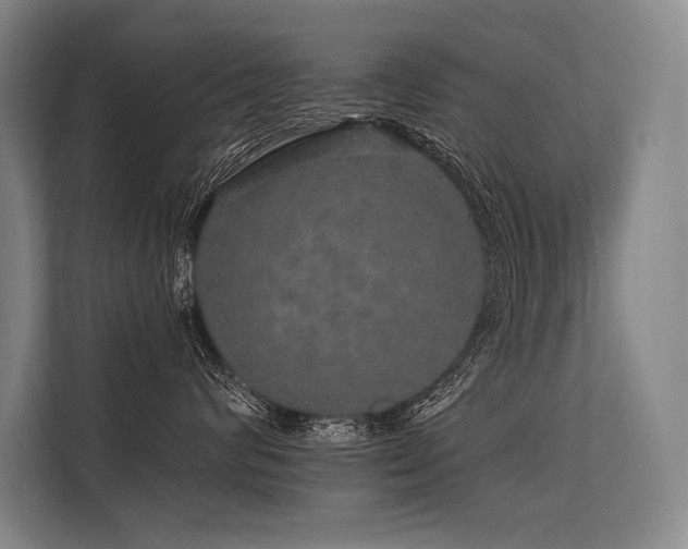 X0000113570624200909181248
