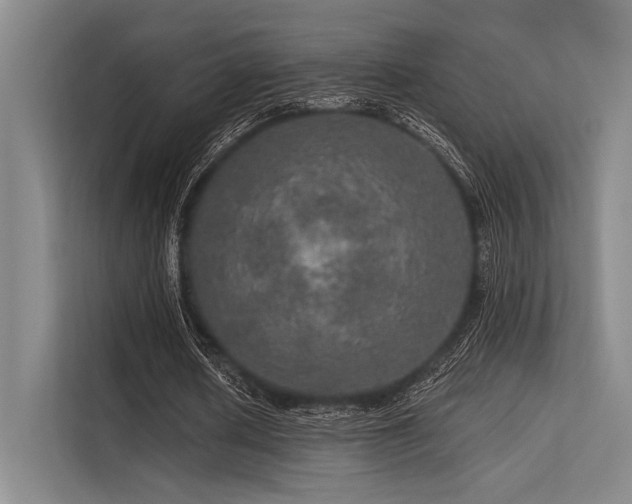 X0000113570626200909181248