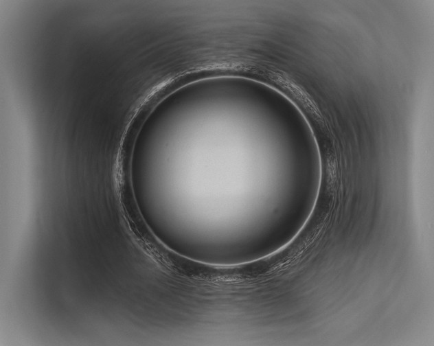 X0000113570628200909181248