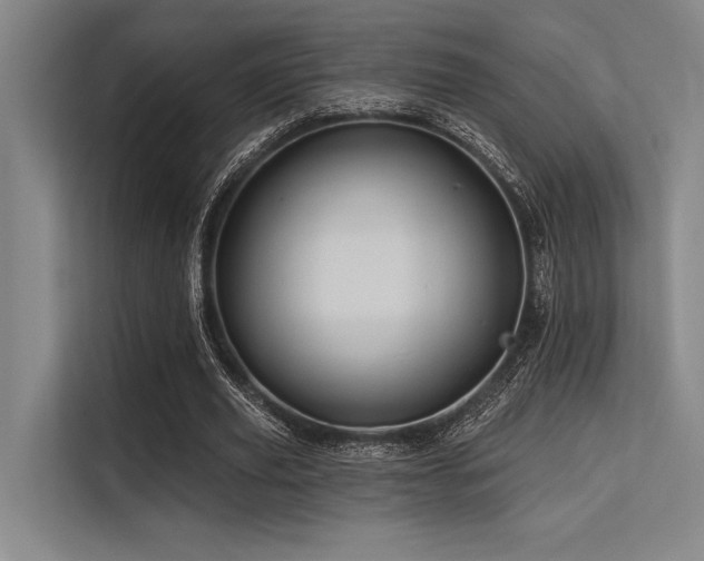 X0000113570629200909181248