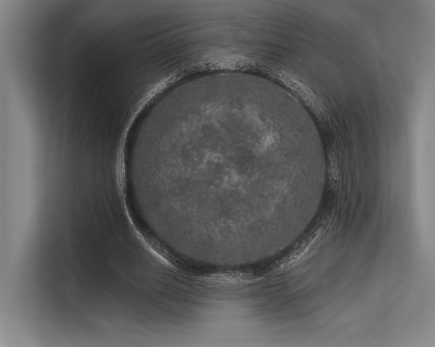 X0000113570630200909181248