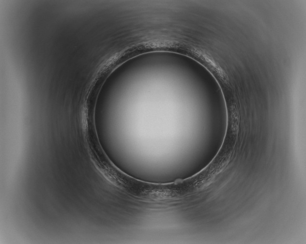 X0000113570631200909181248