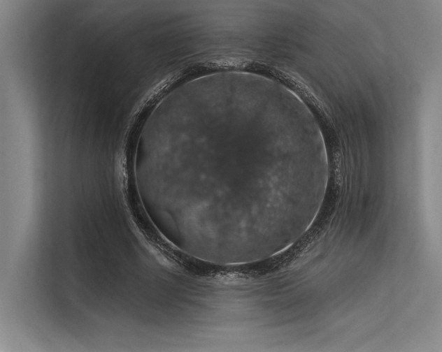 X0000113570634200909181248