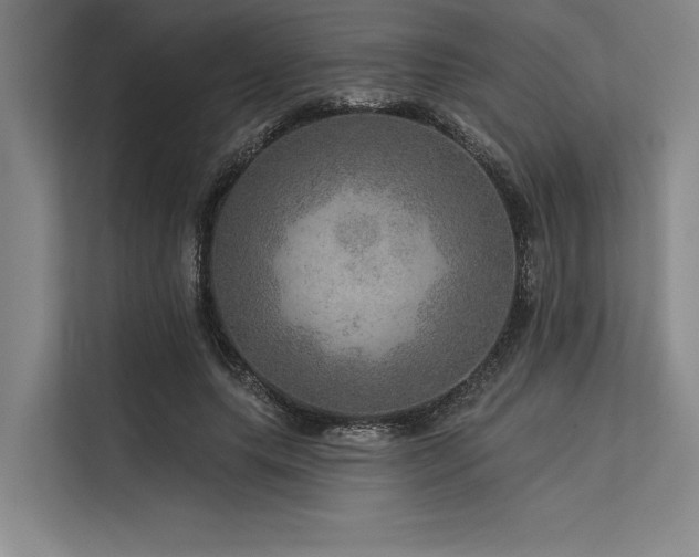 X0000113570639200909181248