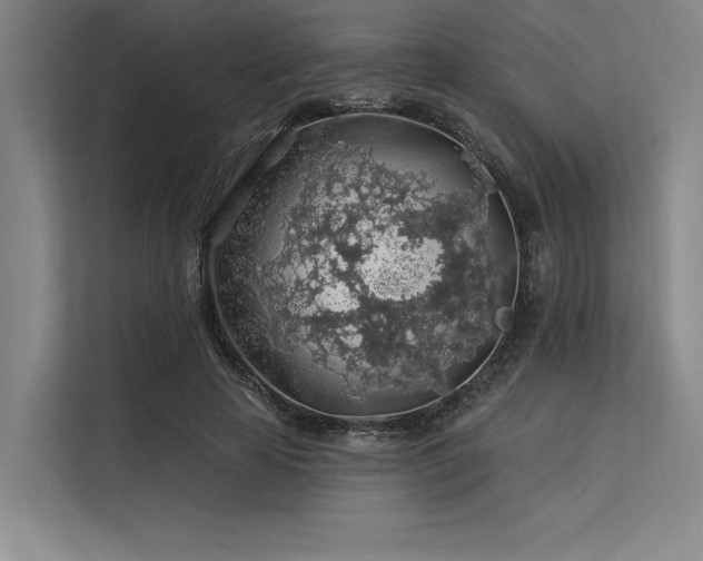 X0000113570641200909181248