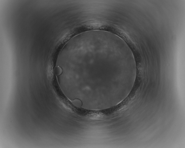X0000113570642200909181248