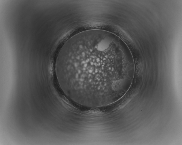 X0000113570644200909181248