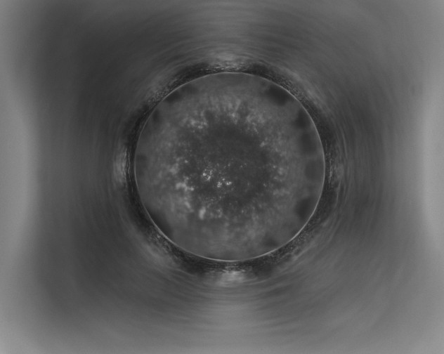 X0000113570647200909181248