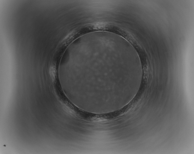 X0000113570648200909181248