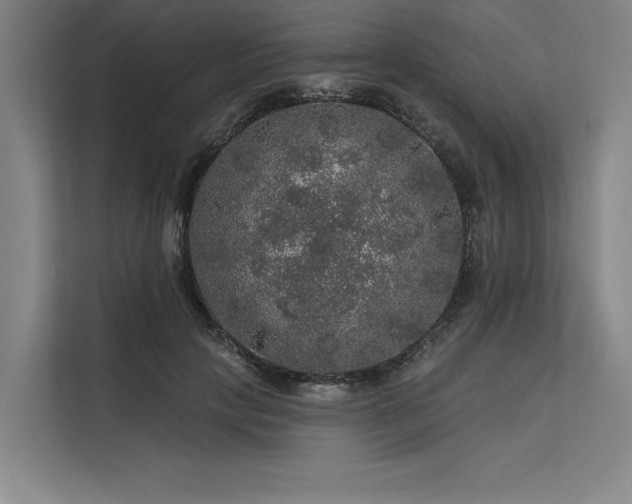 X0000113570649200909181248