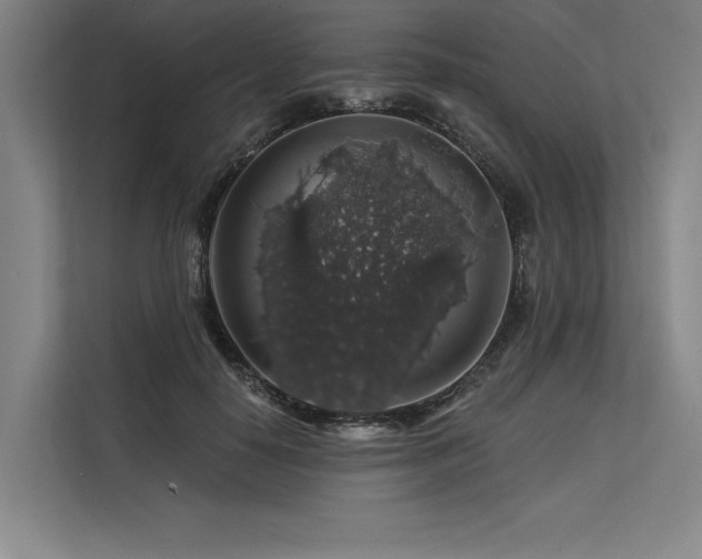 X0000113570650200909181248