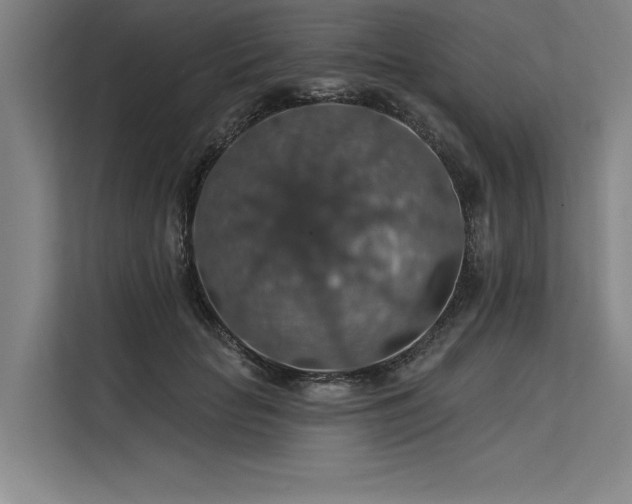 X0000113570653200909181248