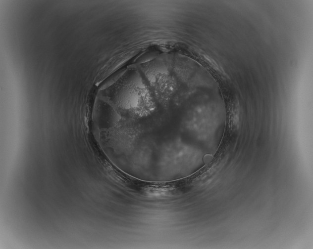X0000113570661200909181248