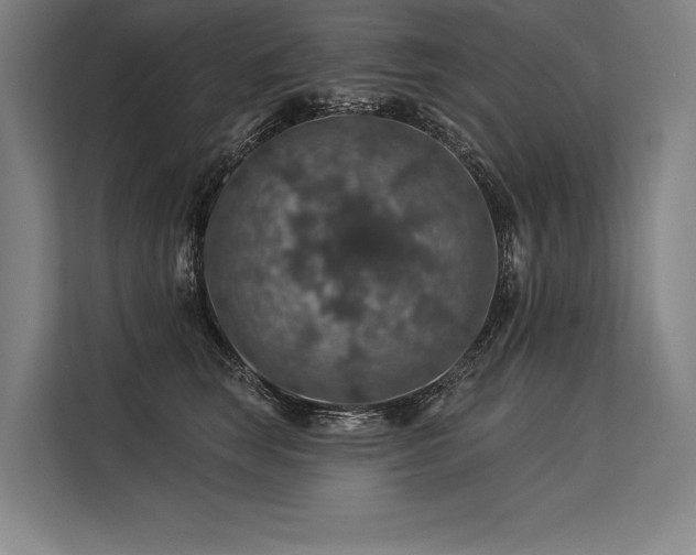 X0000113570663200909181248