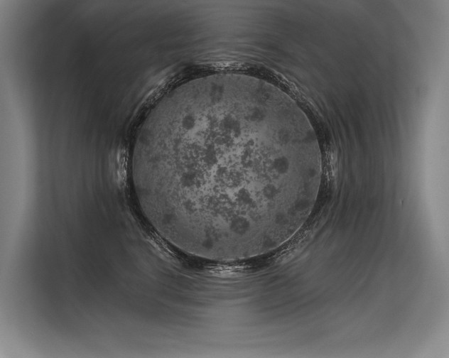 X0000113570664200909181248