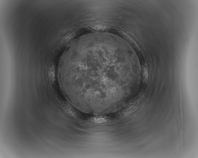 X0000113570668200909181248