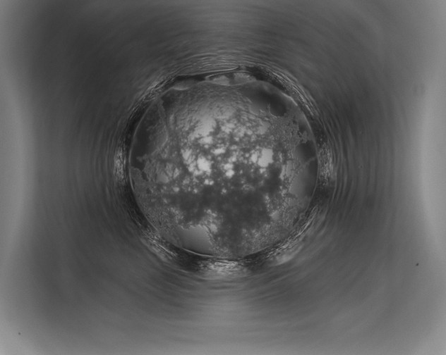 X0000113570669200909181248