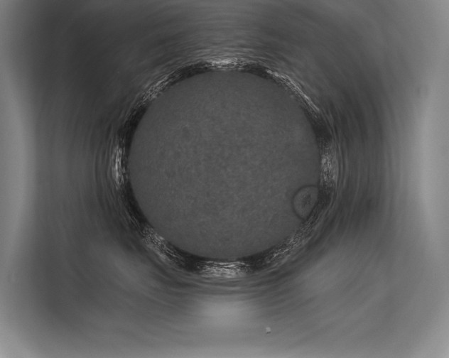 X0000113570671200909181248
