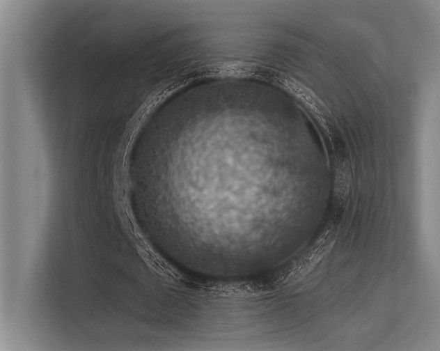 X0000113570673200909181248