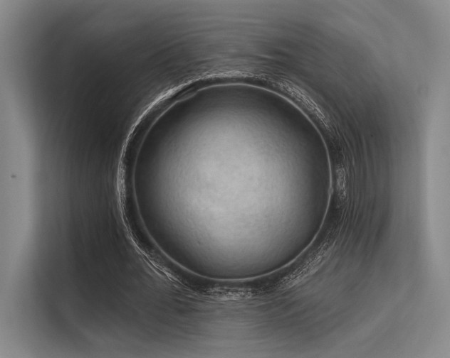 X0000113570676200909181248