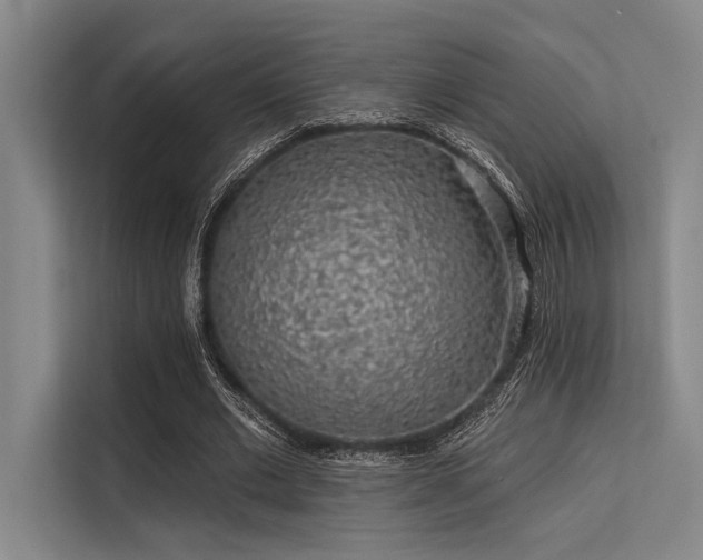 X0000113570677200909181248